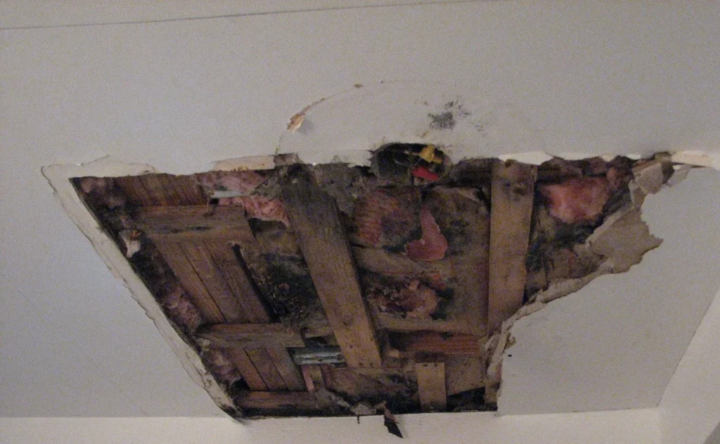 Close-up view of severely damaged ceiling with half the drywall removed, revealing exposed framing. Represents the "before" stage of drywall repair and texture blending.