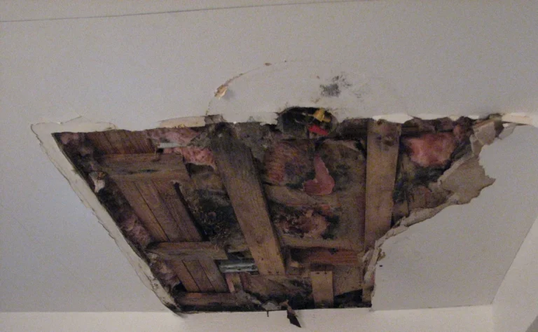 Damaged texture including the drywall have been removed, cut square in the preparation for a parmanent fix